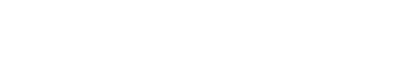 light logo